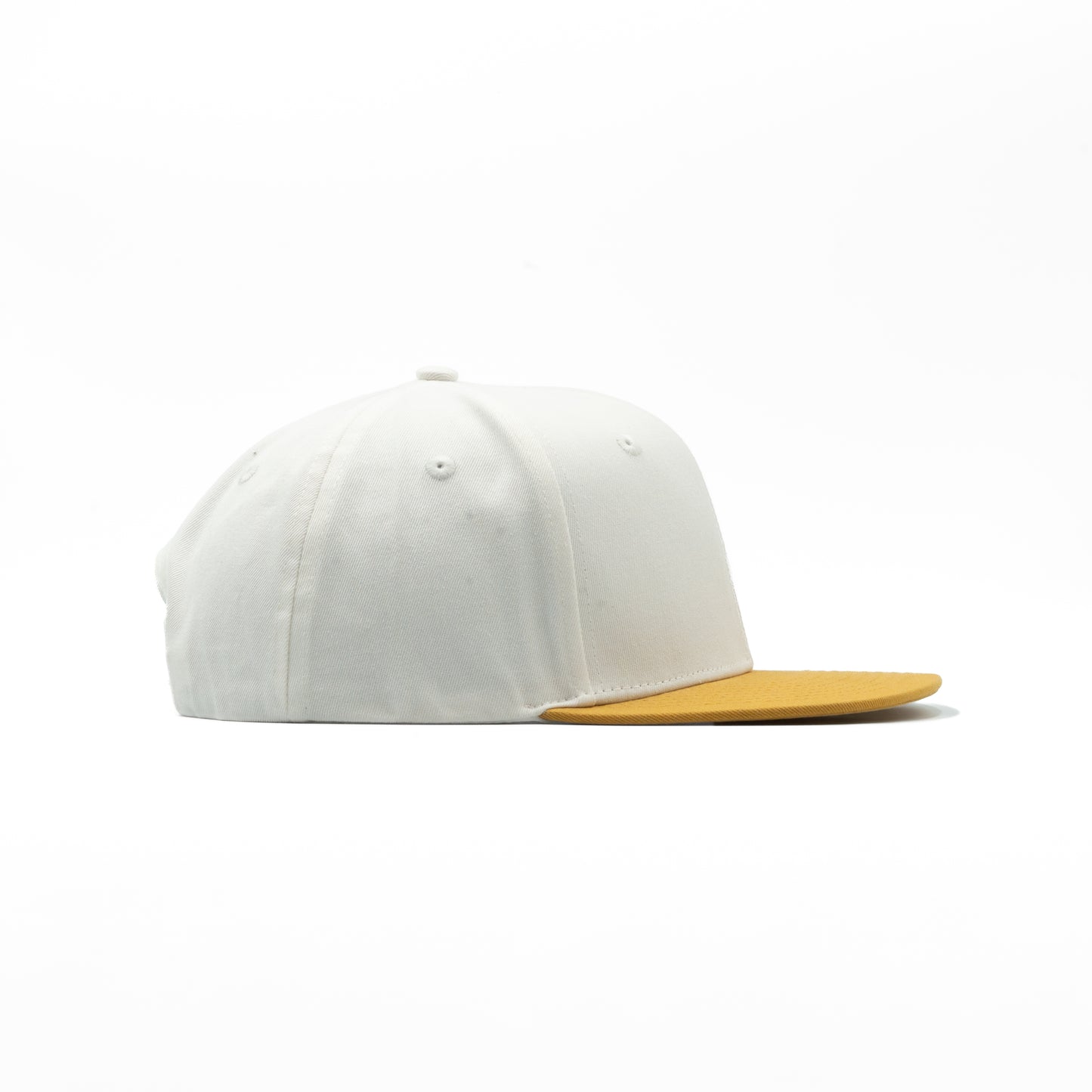 377 - 6 Panel Flat Bill