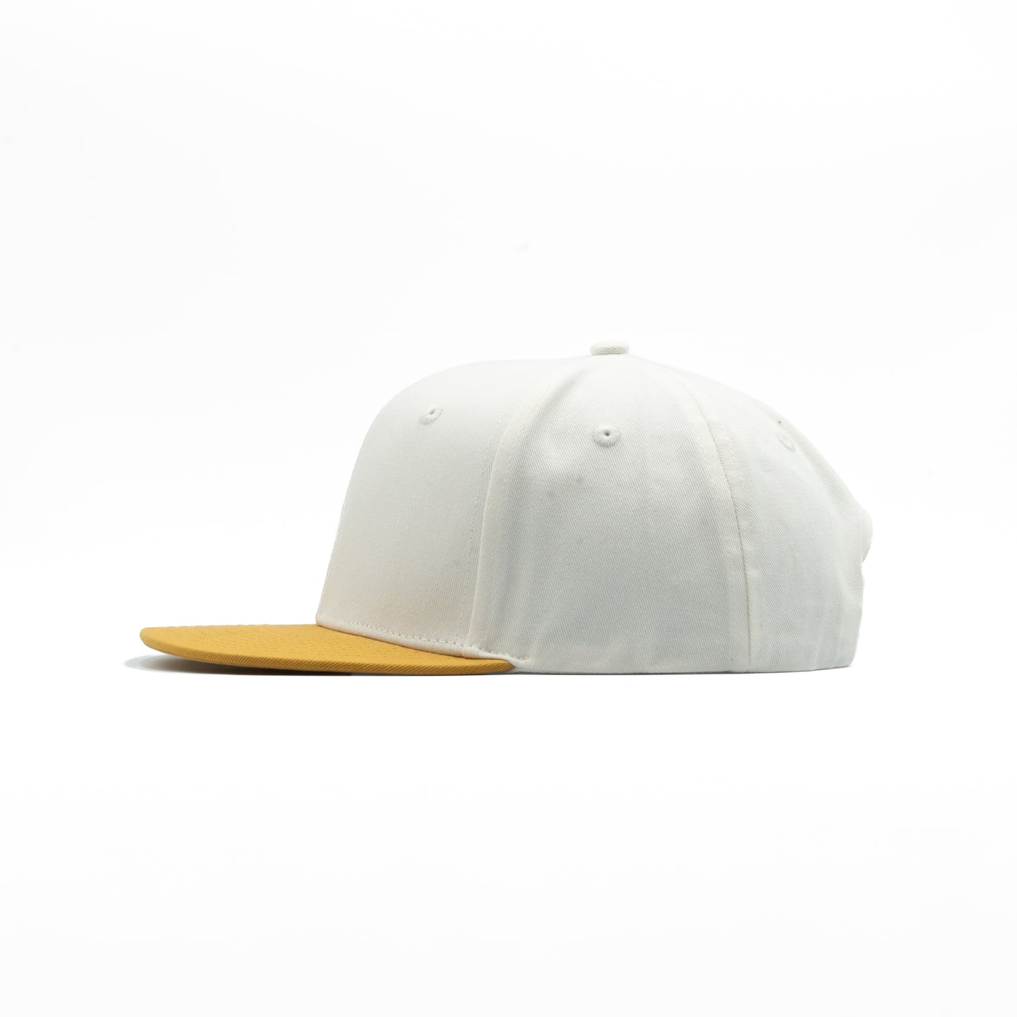 377 - 6 Panel Flat Bill