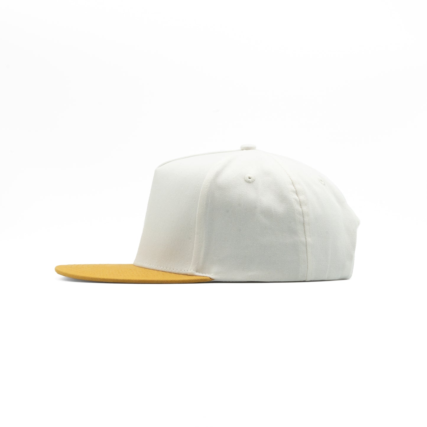 I-45 - 5 Panel Flat Bill