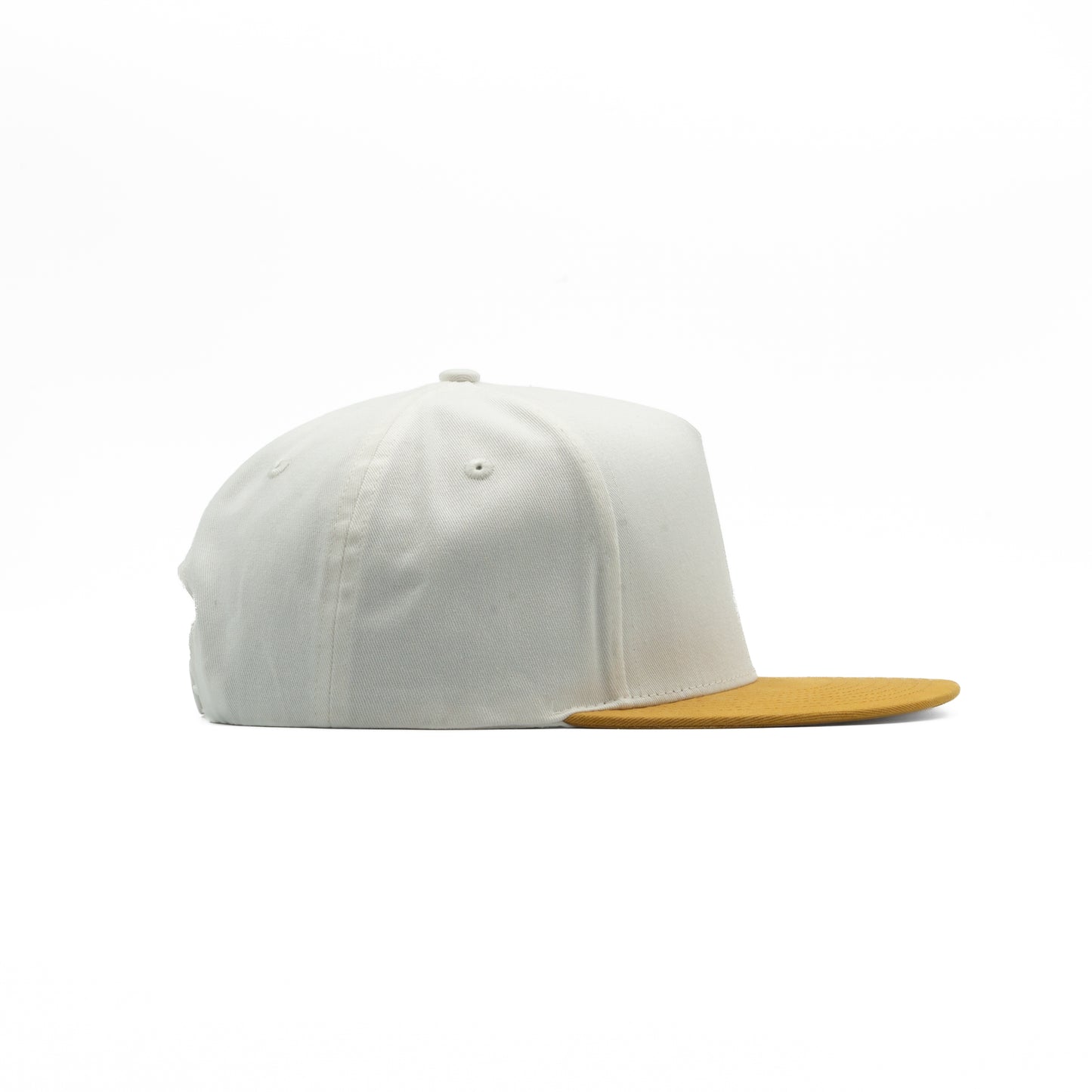 I-45 - 5 Panel Flat Bill